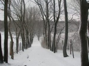 Grounds-Coldwater-Creek-Road-Winter-600x400